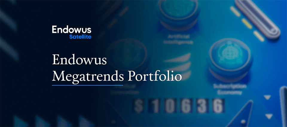 Deep Dive: Endowus Megatrends Portfolio